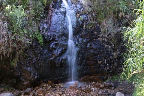 Self-Guided Waterfall Gully To Mount Lofty Hike From Adelaide - Tourism Townsville 5