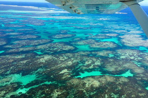 Shipwreck Special Full Day Tour Of The Abrolhos Islands - Tourism Townsville 1