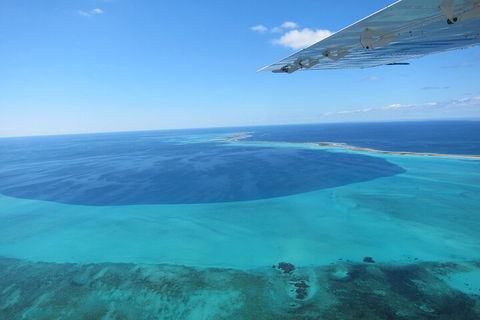 Shipwreck Special Full Day Tour Of The Abrolhos Islands - Tourism Townsville 2