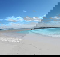 Shipwreck Special Nature Tour/Half Day Tour - Tourism Townsville