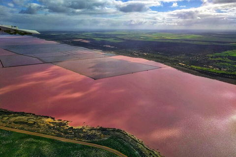 Kalbarri, Pink Lake And Abrolhos Islands Nature Tour - Tourism Townsville 1