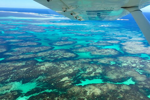 Kalbarri, Pink Lake And Abrolhos Islands Nature Tour - Tourism Townsville 5