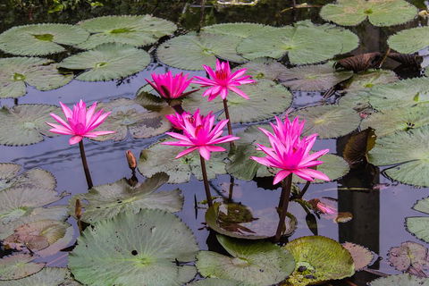 Kakadu, Nourlangie And Yellow Waters Tour From Darwin - Tourism Townsville 1