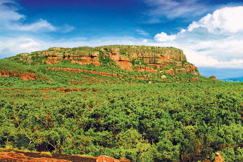 Kakadu, Nourlangie And Yellow Waters Tour From Darwin - Tourism Townsville 3