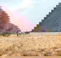 Uluru Sunrise and Guided Base Walk - Tourism Townsville