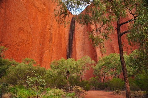 Uluru Sunrise And Guided Base Walk - Tourism Townsville 3