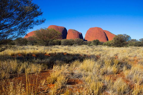 Kata Tjuta Sunrise And Valley Of The Winds Half-Day Trip - Tourism Townsville 1