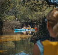 Kayak Tour in Adelaide Dolphin Sanctuary - Tourism Townsville