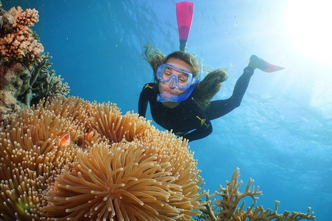 Quicksilver Outer Great Barrier Reef Snorkel Cruise From Port Douglas - Tourism Townsville 2