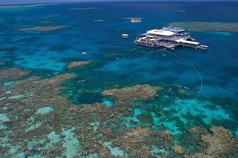 Quicksilver Outer Great Barrier Reef Snorkel Cruise From Port Douglas - Tourism Townsville 3