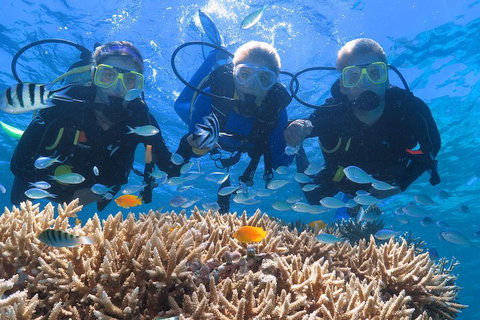 Quicksilver Outer Great Barrier Reef Snorkel Cruise From Port Douglas - Tourism Townsville 4