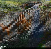 7 Days Darwin Kakadu National Park Katherine Gorge Touring Package - Tourism Townsville