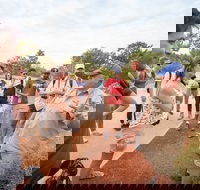 Uluru Kata Tjuta and Kings Canyon Camping Safari from Ayers Rock - Tourism Townsville