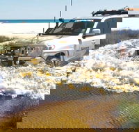 Full-Day Moreton Island 4x4 Sightseeing Tour - Tourism Townsville