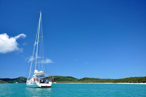 Sailing Curlew Escape On Moreton Bay - Tourism Townsville 5