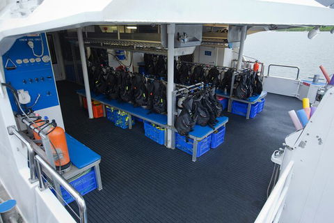 Silverswift Outer Great Barrier Reef Dive And Snorkel Cruise From Cairns - Tourism Townsville 0
