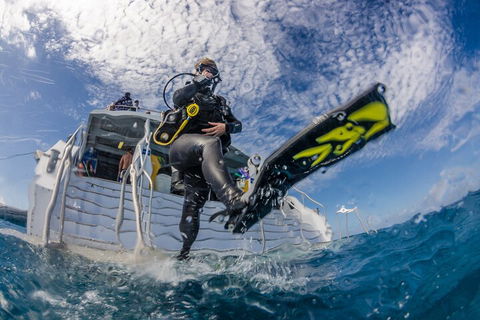 Silverswift Outer Great Barrier Reef Dive And Snorkel Cruise From Cairns - Tourism Townsville 1