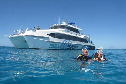 Silverswift Outer Great Barrier Reef Dive And Snorkel Cruise From Cairns - Tourism Townsville 4