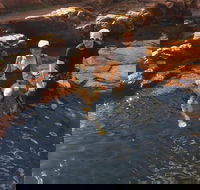 One Day Litchfield Park Adventures - Tourism Townsville