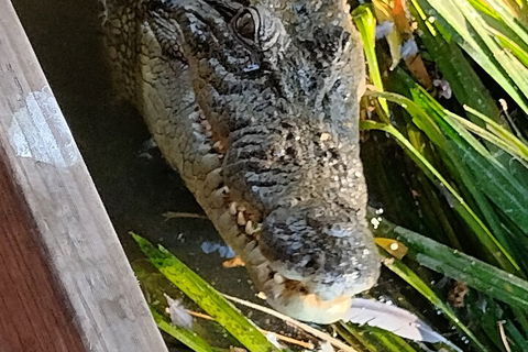Litchfield Park Adventures And Jumping Crocodile Cruise + Butterfly Farm - Tourism Townsville 1