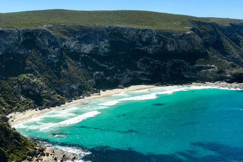 Kangaroo Island Scenic Trail Tour - Tourism Townsville 4