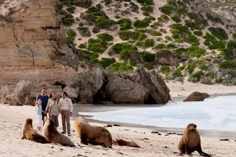 Kangaroo Island Scenic Trail Tour - Tourism Townsville 5
