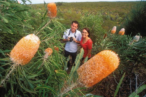 Best Of Perth Wildflower Season Day Trip - Tourism Townsville 0