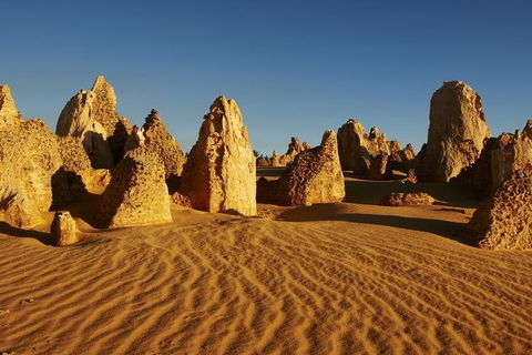 Full Day Pinnacle Desert Explorer From Perth Including Hillarys And Lancelin Sandboarding - Tourism Townsville 3