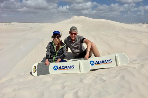 Full Day Pinnacle Desert Explorer From Perth Including Hillarys And Lancelin Sandboarding - Tourism Townsville 4