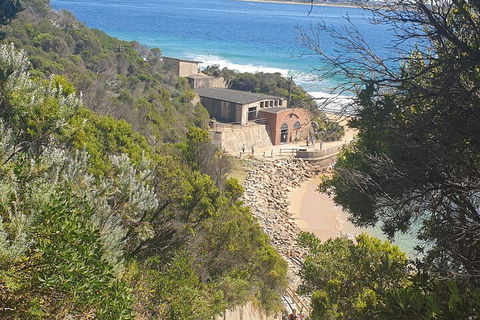 Fort Nepean And Quarantine Station Tour - Tourism Townsville 4