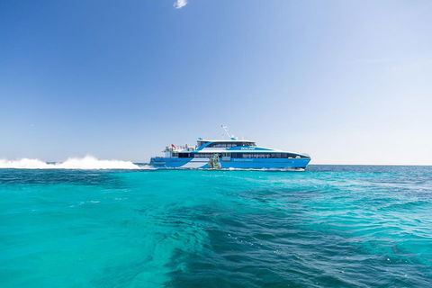 Fremantle To Rottnest Island Roundtrip Ferry Ticket - Tourism Townsville 0