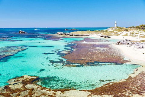 Fremantle To Rottnest Island Roundtrip Ferry Ticket - Tourism Townsville 2
