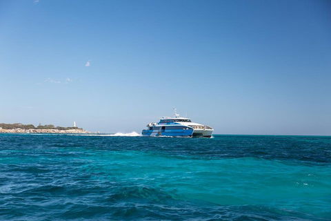 Fremantle To Rottnest Island Roundtrip Ferry Ticket - Tourism Townsville 5