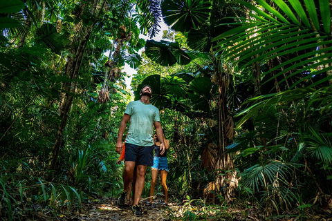 Full Day Daintree Rainforest And Mossman Gorge Tour - Tourism Townsville 0