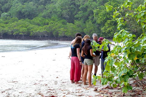 Full Day Daintree Rainforest And Mossman Gorge Tour - Tourism Townsville 2