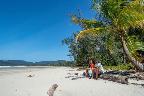 Full Day Daintree Rainforest And Mossman Gorge Tour - Tourism Townsville 4