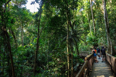 Full Day Daintree Rainforest And Mossman Gorge Tour - Tourism Townsville 5