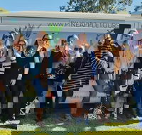 Full Day Mount Tamborine Winery Tour from Gold Coast - Tourism Townsville