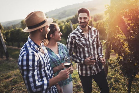 Full Day Mount Tamborine Winery Tour From Gold Coast - Tourism Townsville 5