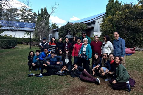 Full Day Mount Tamborine Winery Tour From Brisbane - Tourism Townsville 2