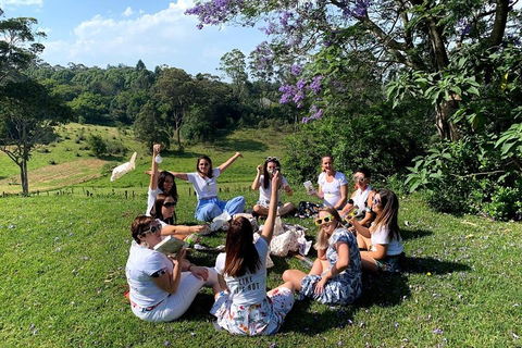 Full Day Mount Tamborine Winery Tour From Brisbane - Tourism Townsville 4