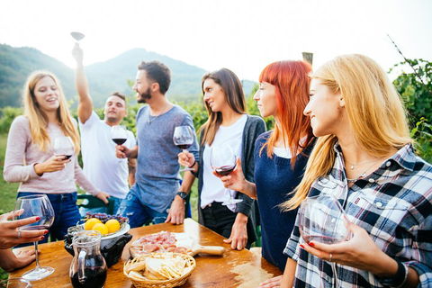 Full Day Mount Tamborine Winery Tour From Brisbane - Tourism Townsville 5