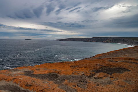 Kangaroo Island Luxury Small Group 'Flinders Chase Focus' Full Day Tour - Tourism Townsville 0