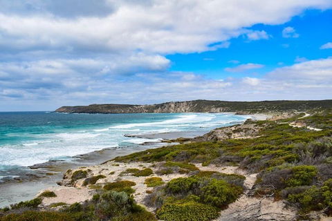 Kangaroo Island Luxury Small Group 'East End Explorer' Full Day Tour - Tourism Townsville 0