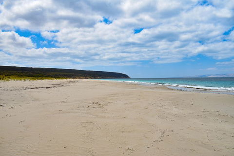Kangaroo Island Luxury Small Group 'East End Explorer' Full Day Tour - Tourism Townsville 3