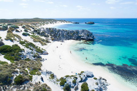 Discover Rottnest With Ferry & Bus Tour From Perth Or Fremantle - Tourism Townsville 5