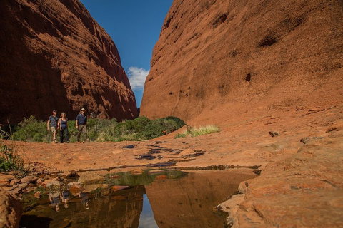 4 Day/3 Night Perentie Dreaming Safari - Tourism Townsville 3