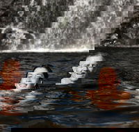 3 Day 4WD Dragonfly Dreaming Top End Safari - Tourism Townsville