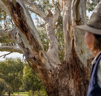 NEW TOUR - Kangaroo Island Road to Recovery Tour 1 Day/1 Night - Tourism Townsville