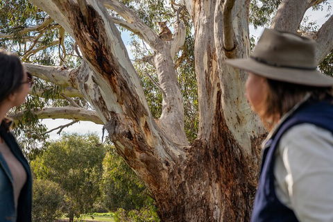 Full Day Flinders Chase Tour From Kangaroo Island - Tourism Townsville 5
